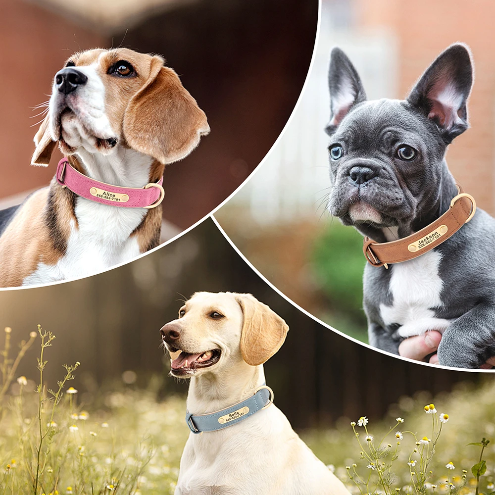 Suede Halsband met Naam voor Honden