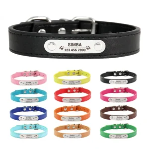 Halsband voor Honden - Gegraveerd met Naam
