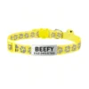 Geel