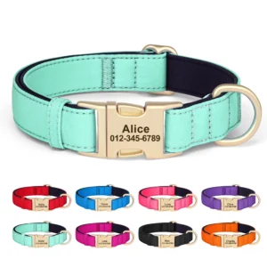 Nylon Hondenhalsband - Gegraveerd met Naam