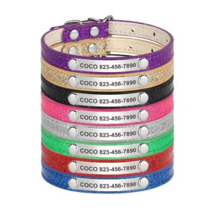 Glitter Halsband voor Katten - Gegraveerd met Naam