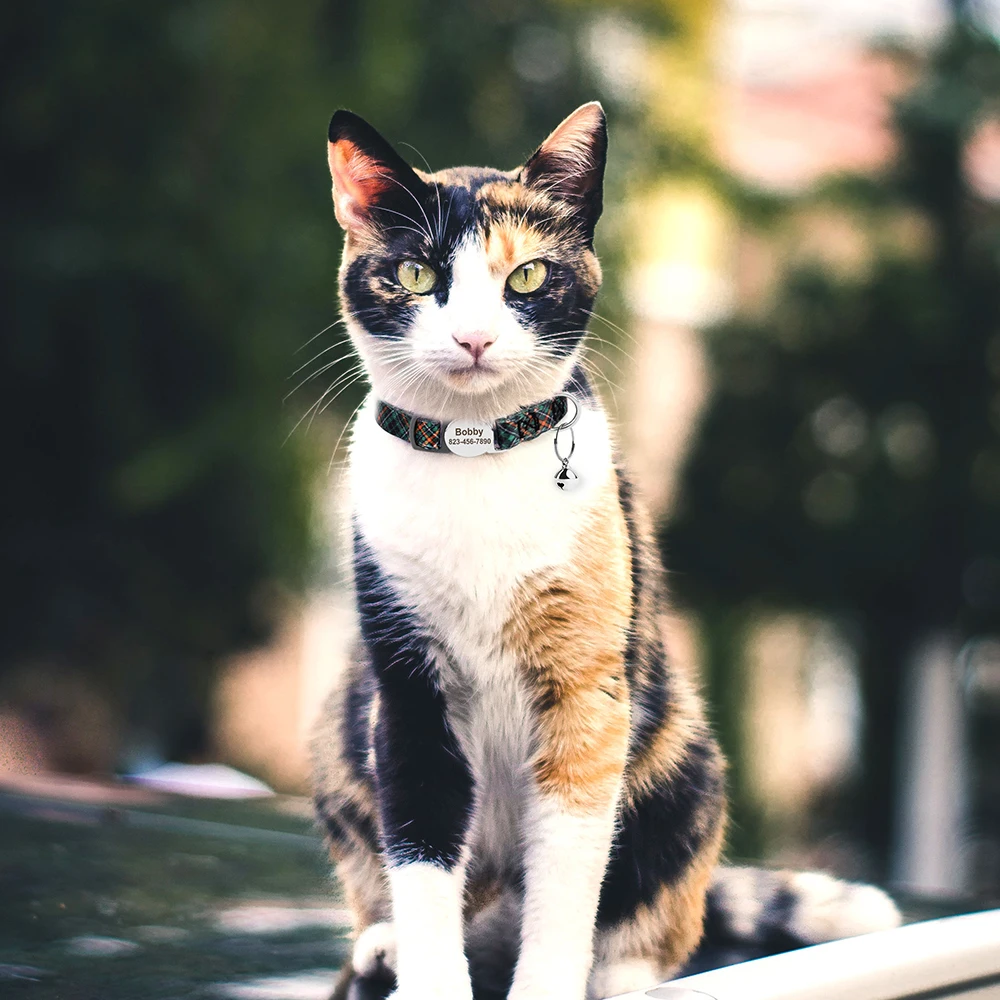 Gepersonaliseerde Kattenhalsband - met Belletje en Veiligheidsgesp