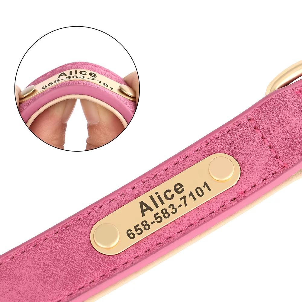 Suede Halsband met Naam voor Honden - Afbeelding 4