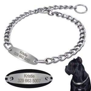 Halsketting met Naam voor Honden