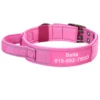 Roze