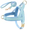 Blauw tuigje + riem
