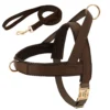 Bruin tuigje + riem
