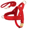 Rood tuigje + riem