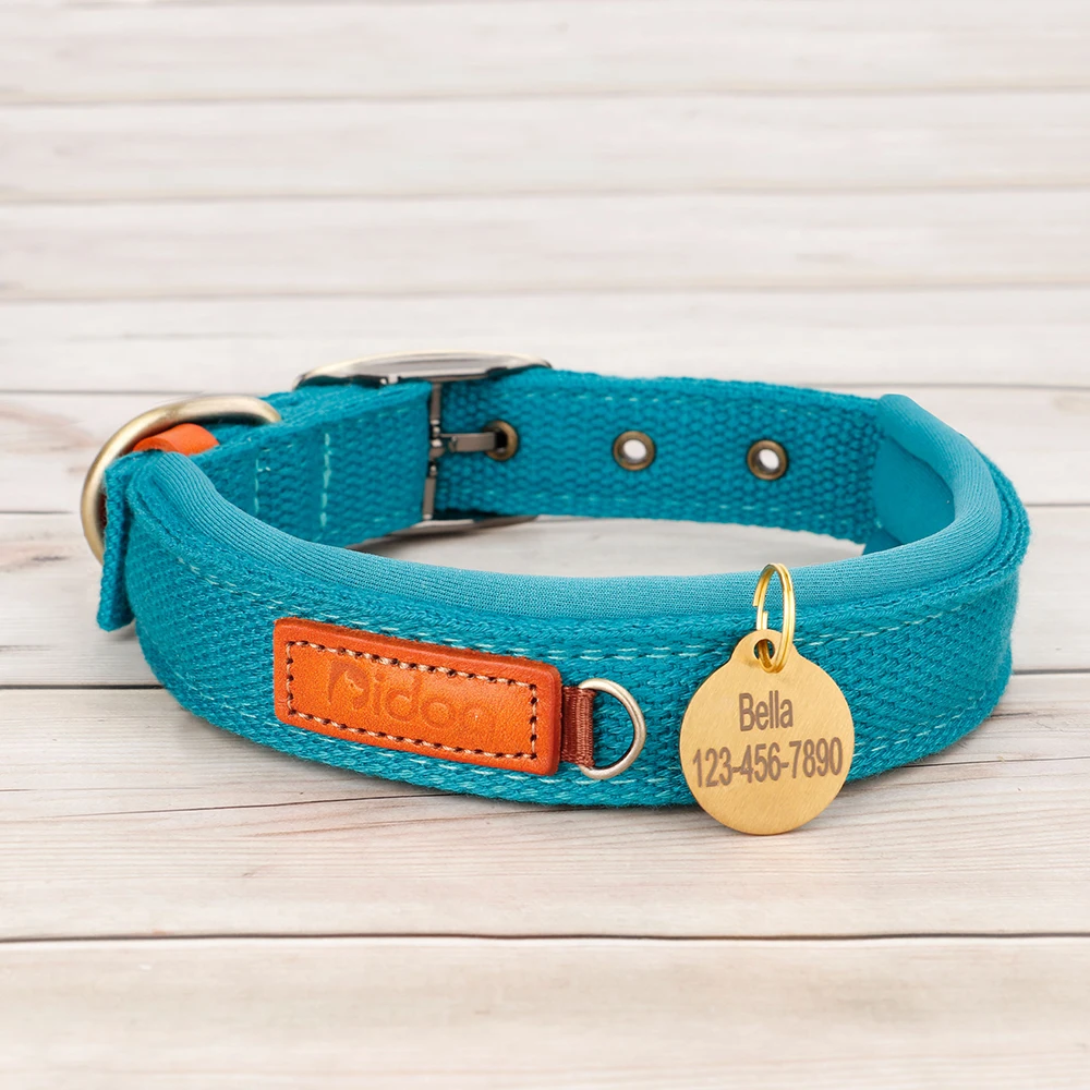 Hondenhalsband met Naampenning