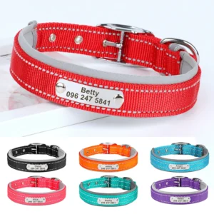 Nylon Hondenhalsband met Naam - Reflecterend