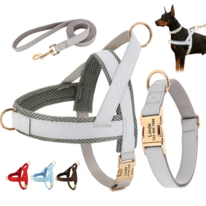 Complete uitlaatset voor Honden - Hondentuigje, Halsband, Hondenriem