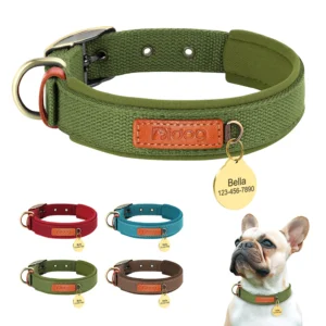 Hondenhalsband met Naampenning