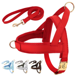 Gepersonaliseerd Anti-trektuig voor Honden