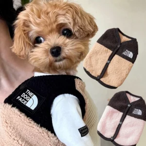 The Dog Face Teddy Vest